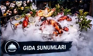 Gıda Sunumları