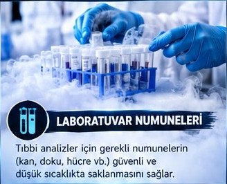 Laboratuvar Numuneleri
